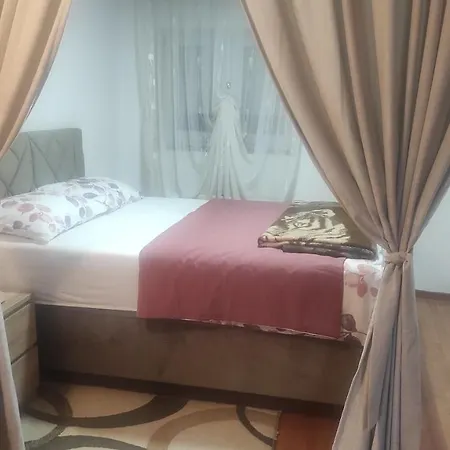 Apartman.nemanjica Bb 公寓 *